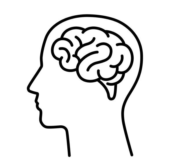 一人ひとりのお悩みに合わせ、解剖学と神経学に基づいた施術を実施